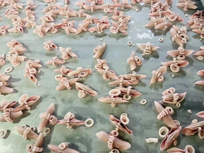 各种鱿鱼产品正在涨价中
