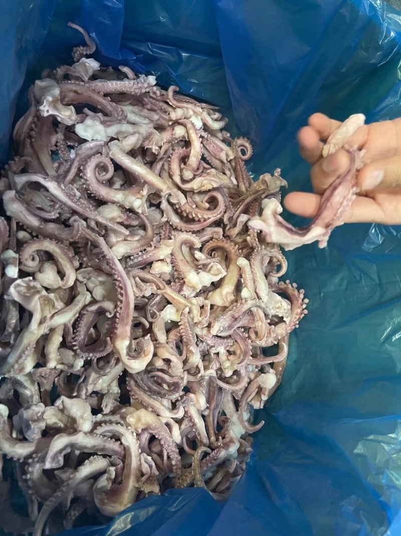 各种鱿鱼产品正在涨价中