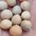 园林绿化，花秄，草秄，树秄，