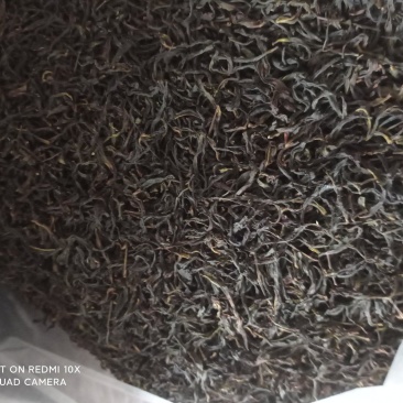 白叶单枞散茶
