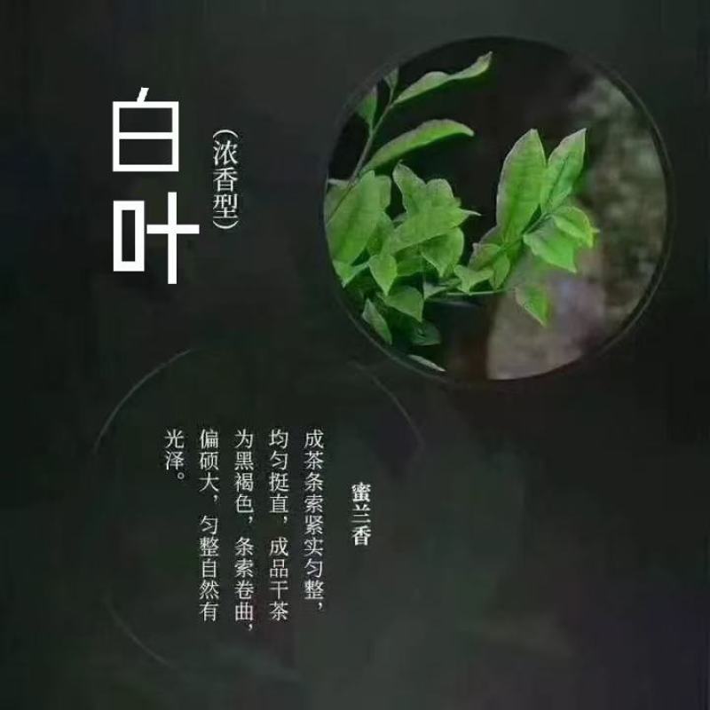 白叶单枞散茶