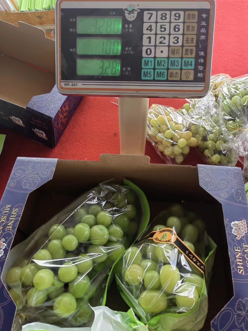 巨峰葡萄🍇阳光玫瑰团购加工