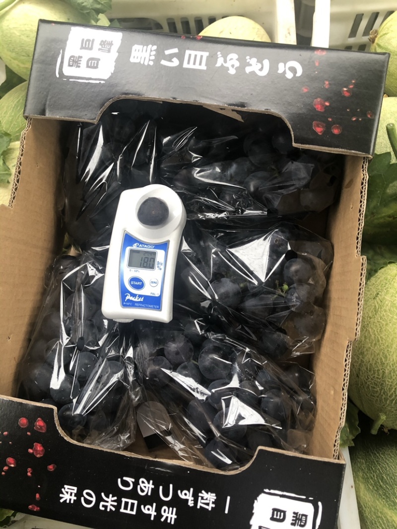 巨峰葡萄🍇阳光玫瑰团购加工