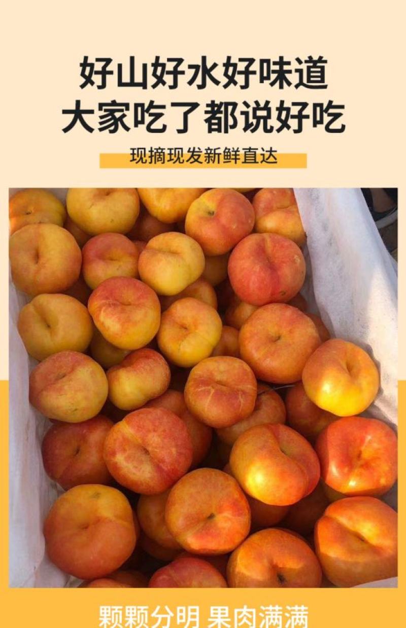 蒙阴蜜桃