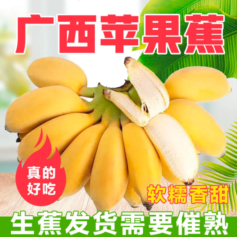 苹果蕉粉蕉糯米蕉西贡蕉孕妇水果整箱净含量3斤5斤9斤