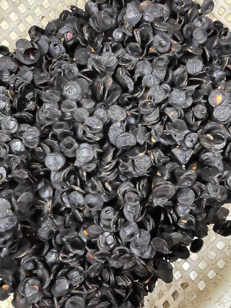 便秘果肉片果肉腊肠果肉产地一手货源大量现货