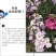 紫罗兰种子春冬花卉四季播阳台室内耐寒易种观赏价值高