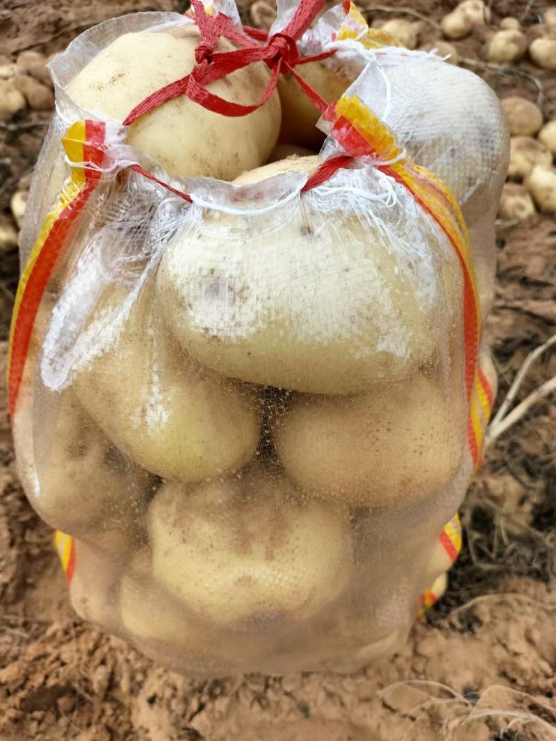 土豆陕西靖边v7土豆新鲜蔬菜【个大干净货美】土豆批发