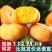 《推荐》油蟠7，油蟠桃蟠5蟠7蟠9量大优惠，欢迎咨询