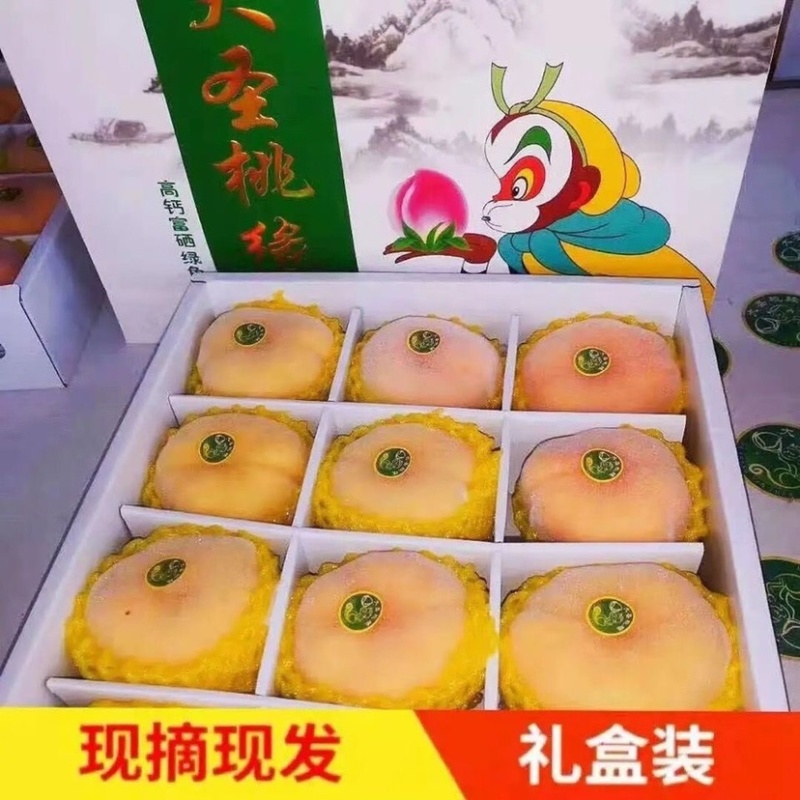 《推荐》油蟠7，油蟠桃蟠5蟠7蟠9量大优惠，欢迎咨询