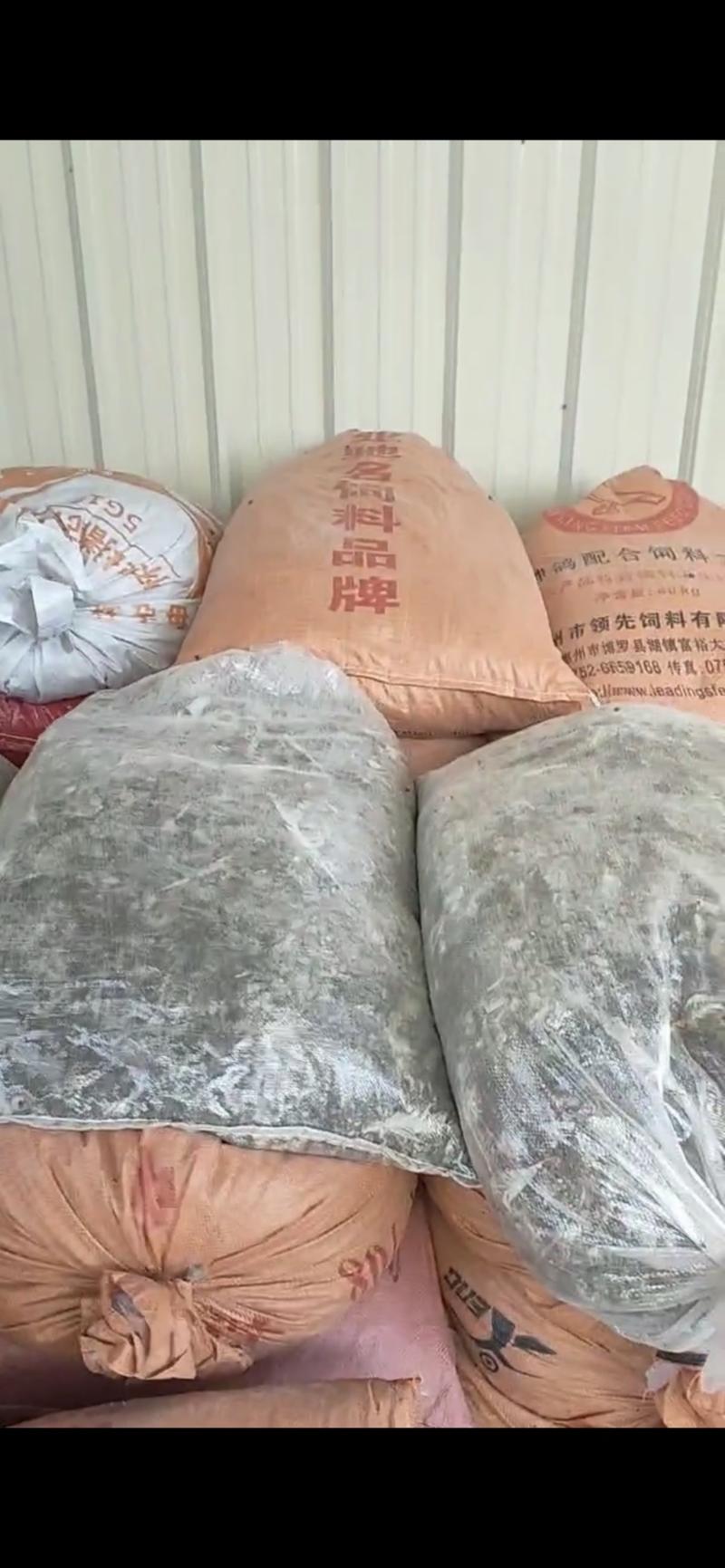 肥料鸽子粪大量出售直供广西福建汕头梅州江西等等