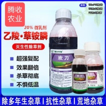 欢刀乙羧草铵膦果园除草不伤根灭荒除草