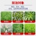 欢刀乙羧草铵膦果园除草不伤根灭荒除草