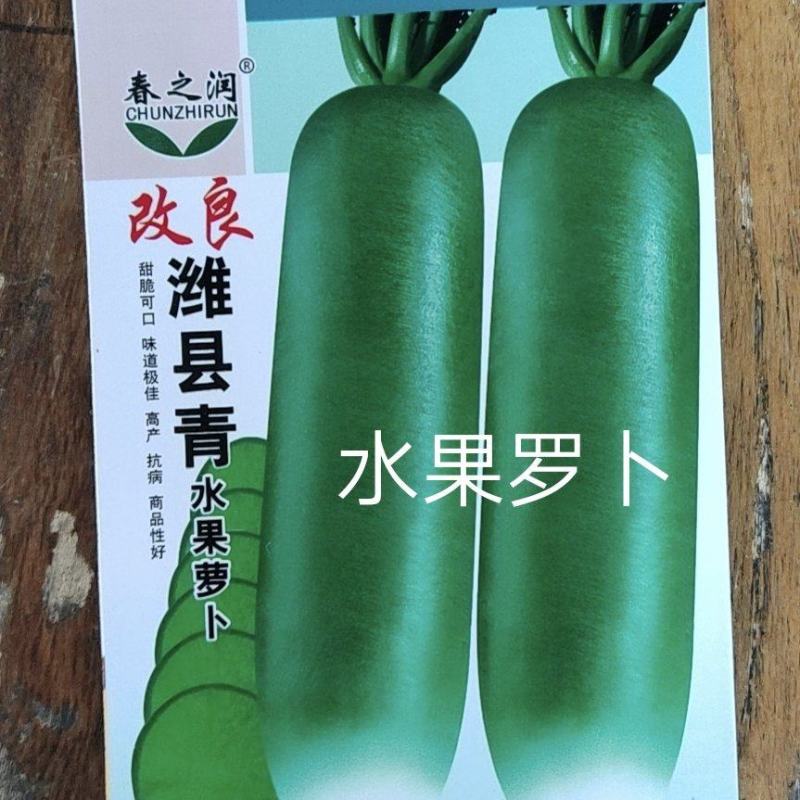 改良潍县青水果萝卜种子绿皮绿肉宜生食生长快抗病性强