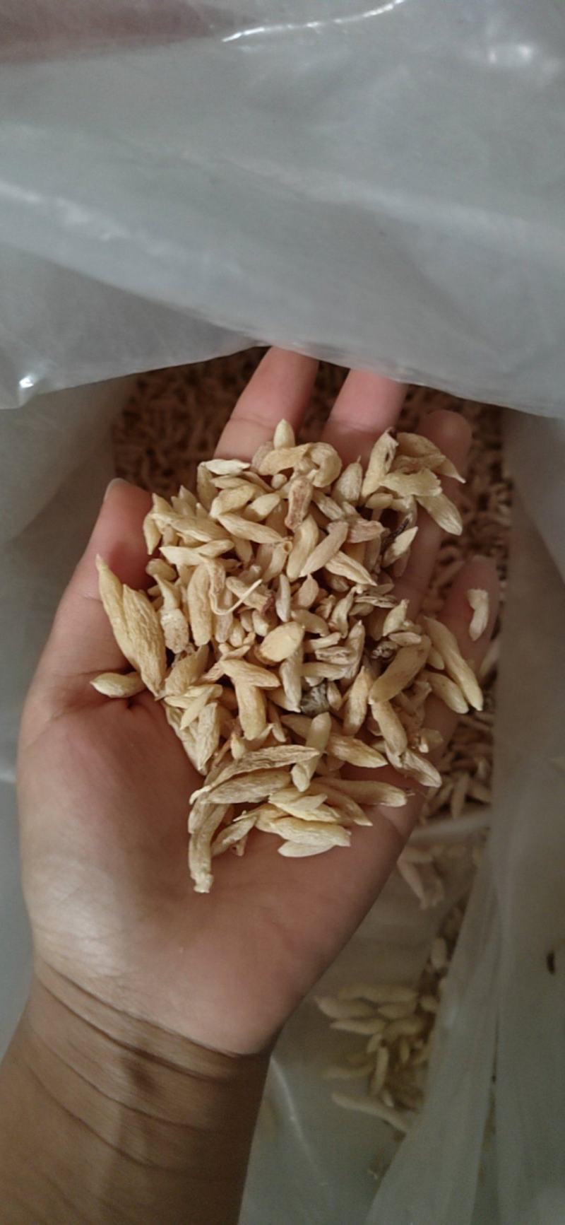 麦冬，山麦冬，产地山东产地一手货源，大货批发