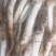 野生鸡纵