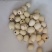白莲子新货，抽芯率达到95%，诚信为本，质量保证。