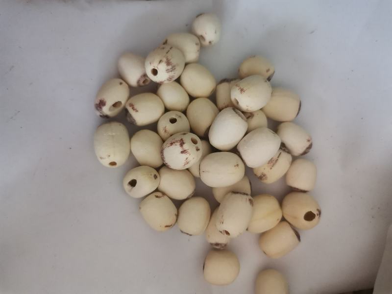 白莲子新货，抽芯率达到95%，诚信为本，质量保证。