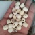 白莲子新货，抽芯率达到95%，诚信为本，质量保证。