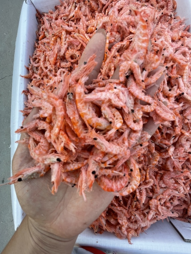 南极鳞虾无盐淡干红虾皮无黑头大板鳞虾货源充足