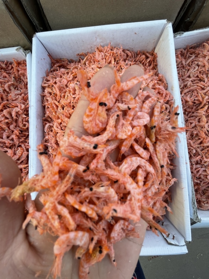 南极鳞虾无盐淡干红虾皮无黑头大板鳞虾货源充足