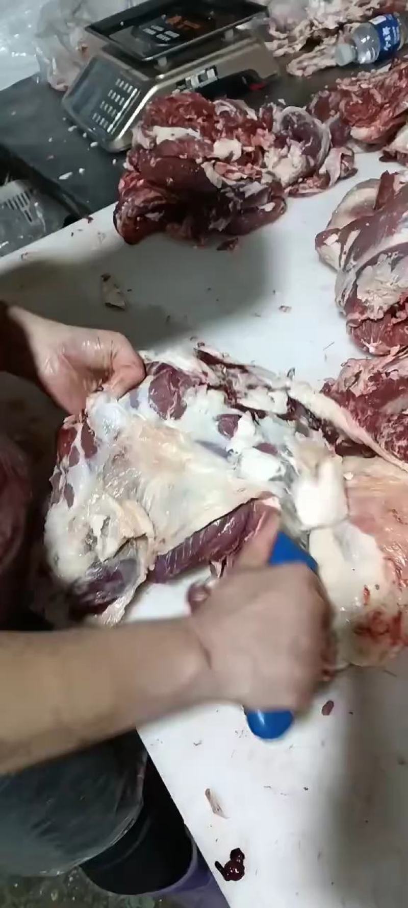 羊肉，纯干的，有带皮的，也有不带皮的，能用的联系