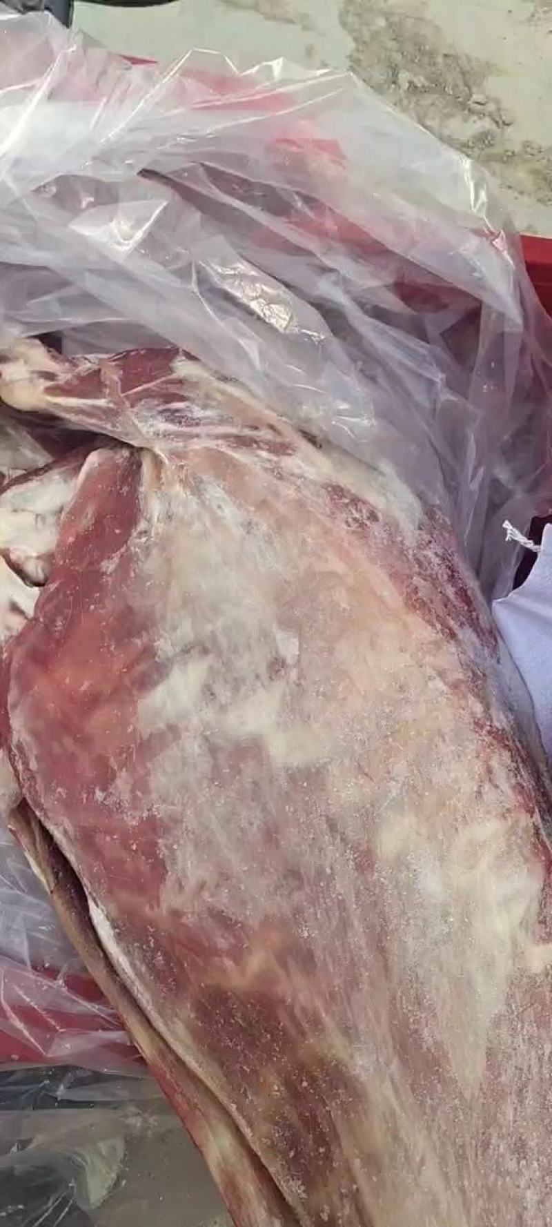 羊肉，纯干的，有带皮的，也有不带皮的，能用的联系