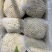 松花，甘肃定西货，实力代办，欢迎各位老板至电