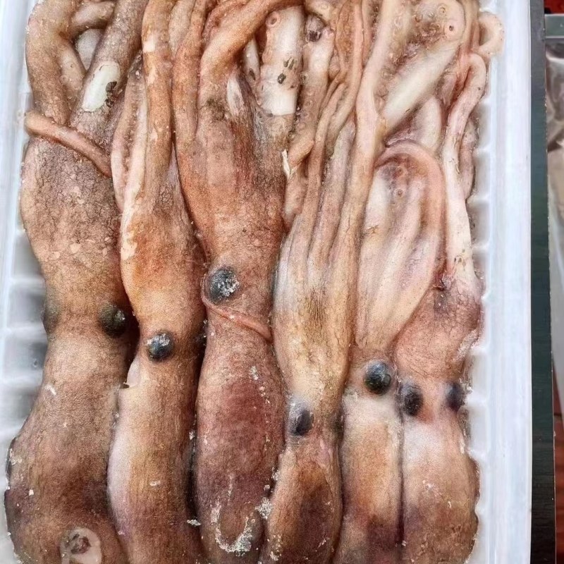 长腿八爪，短腿八爪