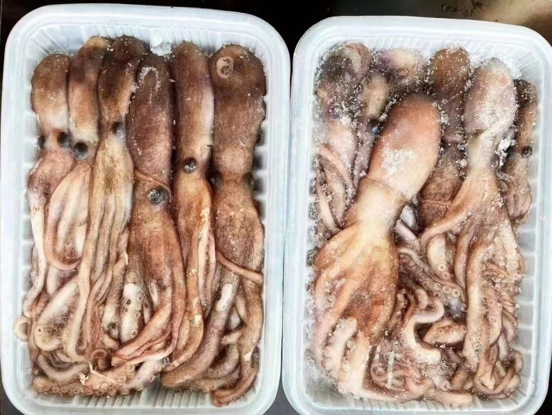 长腿八爪，短腿八爪