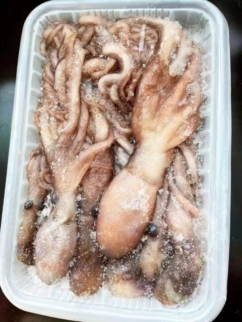 长腿八爪，短腿八爪