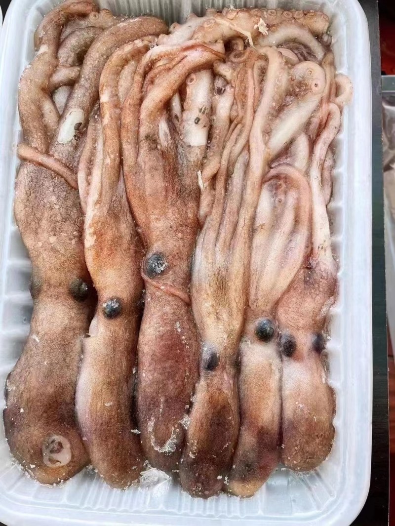 长腿八爪，短腿八爪