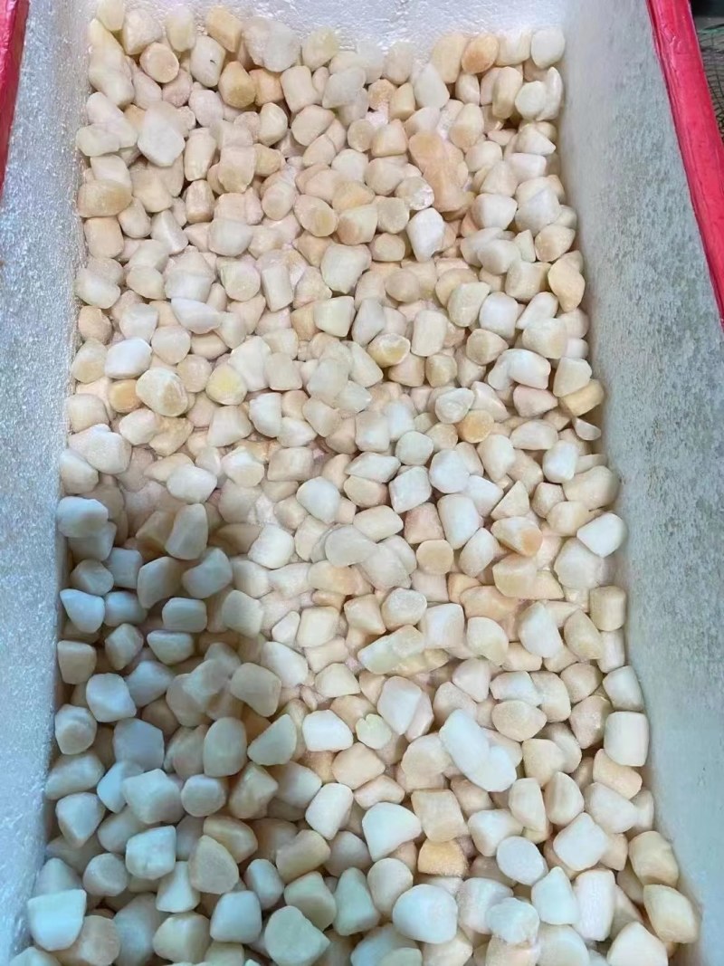 扇贝柱
