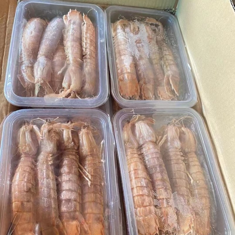 皮皮虾。虾爬子肉