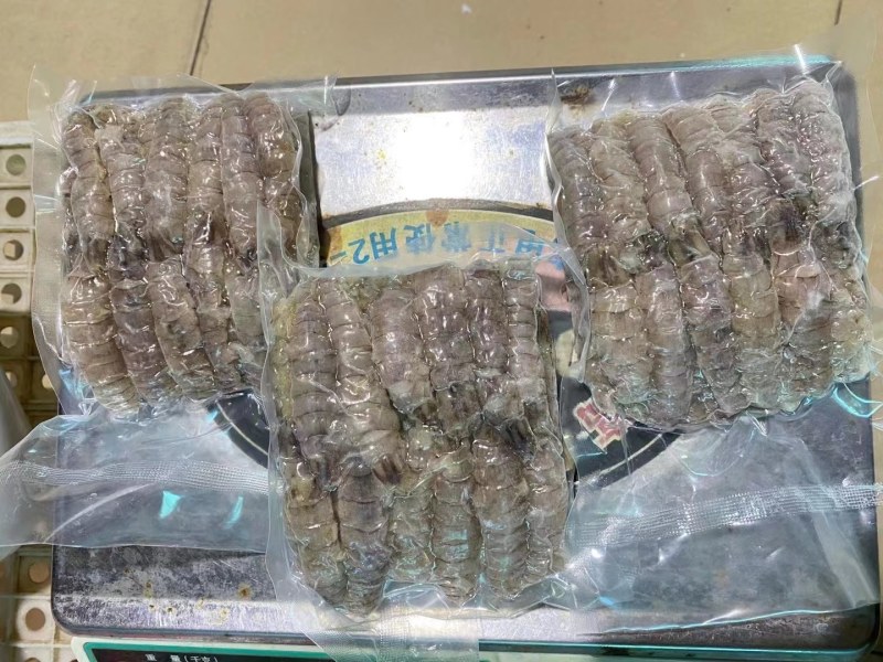 皮皮虾。虾爬子肉