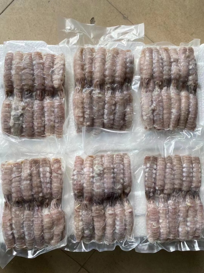 皮皮虾。虾爬子肉
