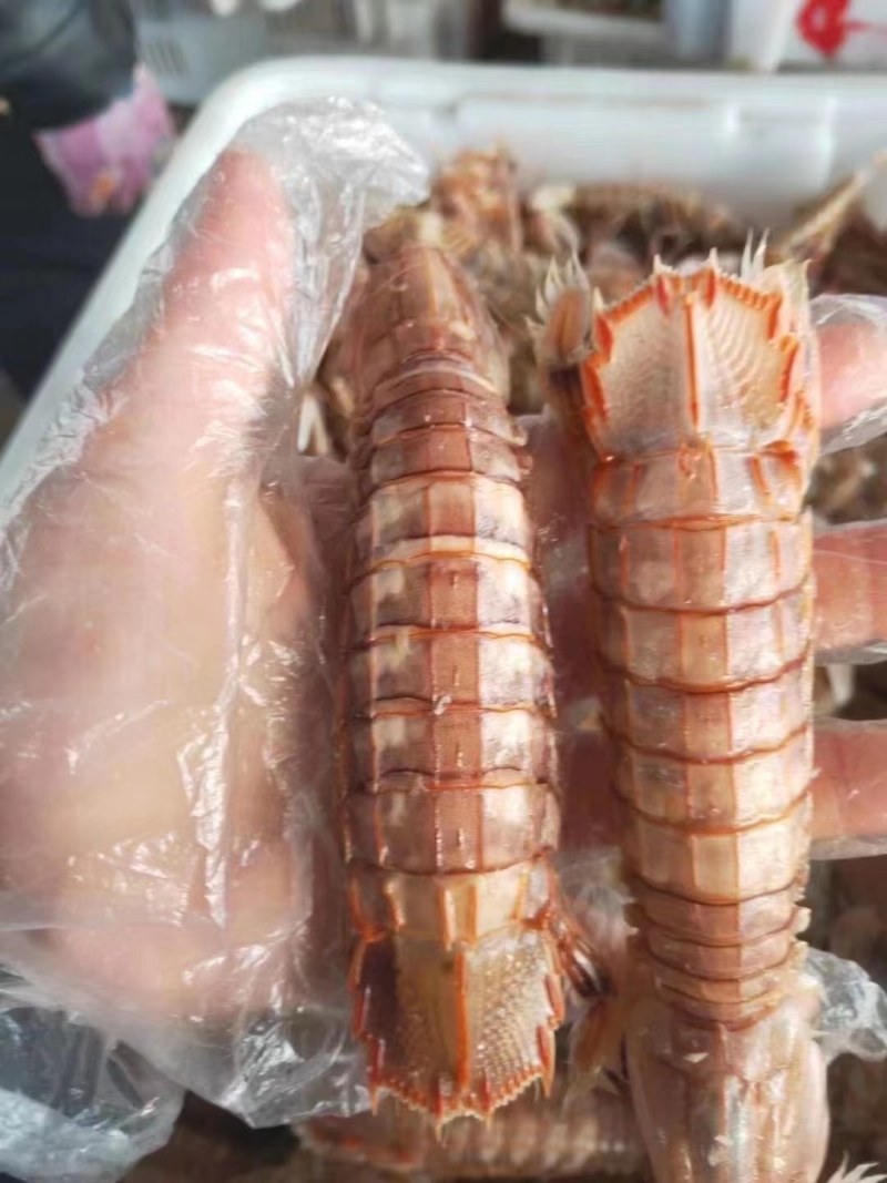 虾爬子。皮皮虾