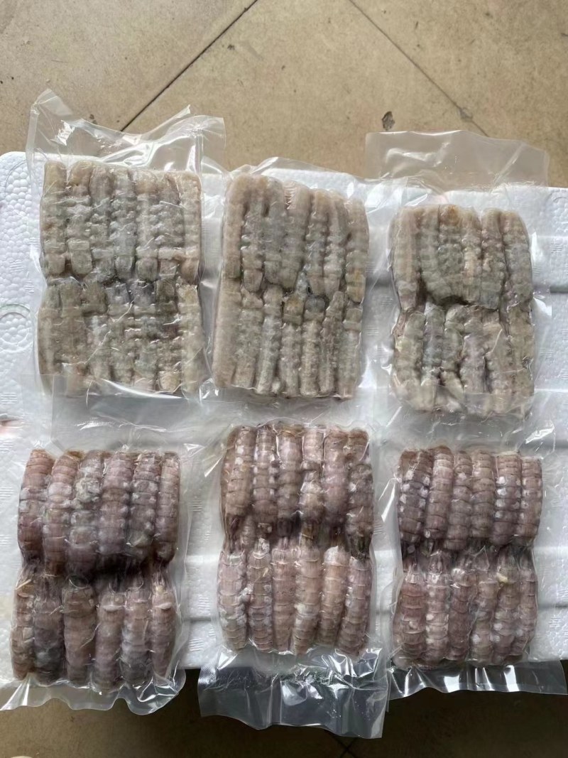 虾爬子。皮皮虾