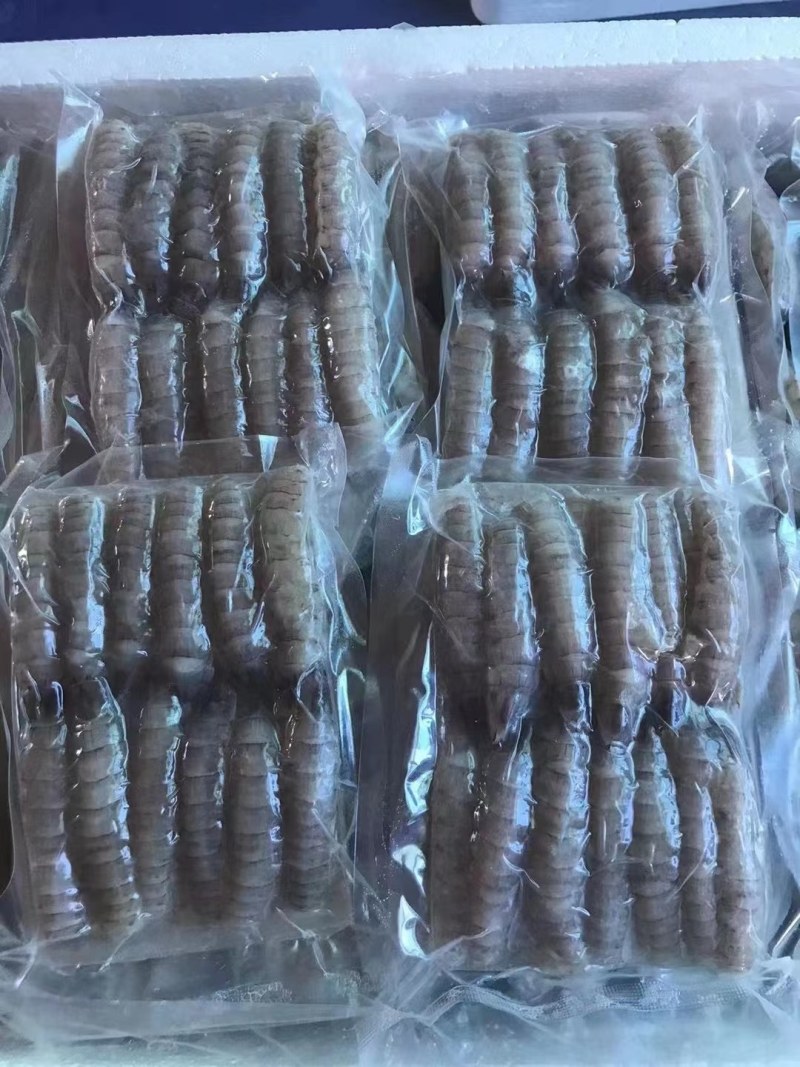 虾爬子。皮皮虾