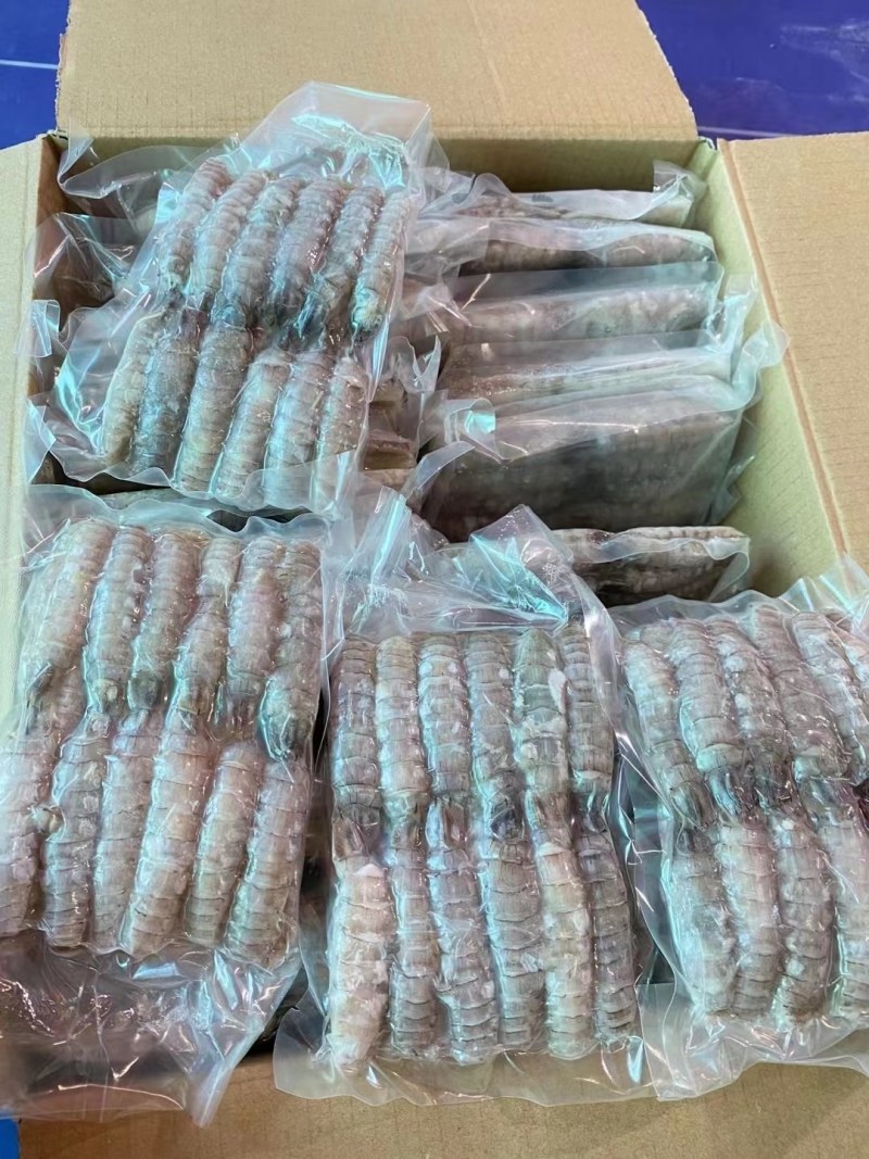 虾爬子。皮皮虾