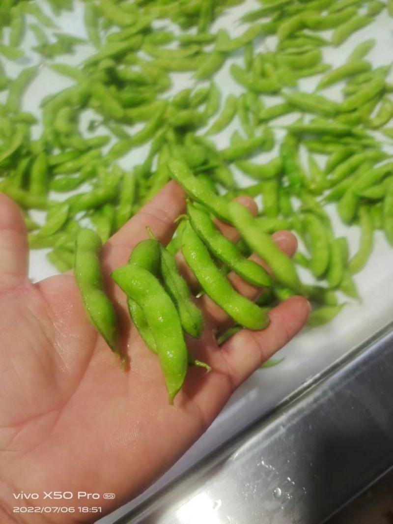 精品毛豆山东翠绿宝毛豆量大从优质优价廉对接全国