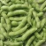精品毛豆山东翠绿宝毛豆量大从优质优价廉对接全国