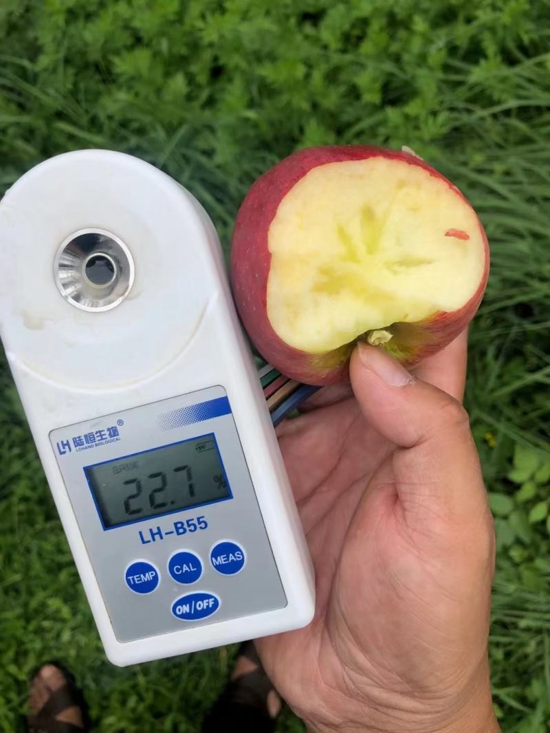 昭通红露糖心苹果