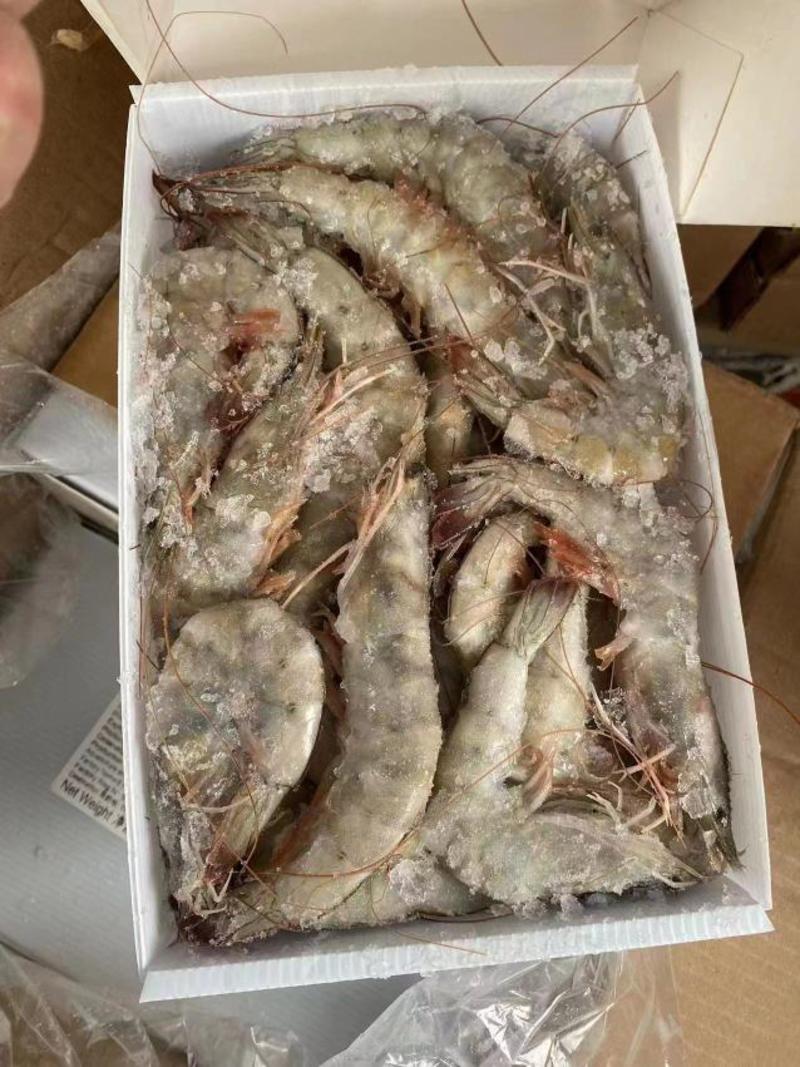 海捕大虾对虾单冻大虾大板散装工厂直销可预订刨冰量