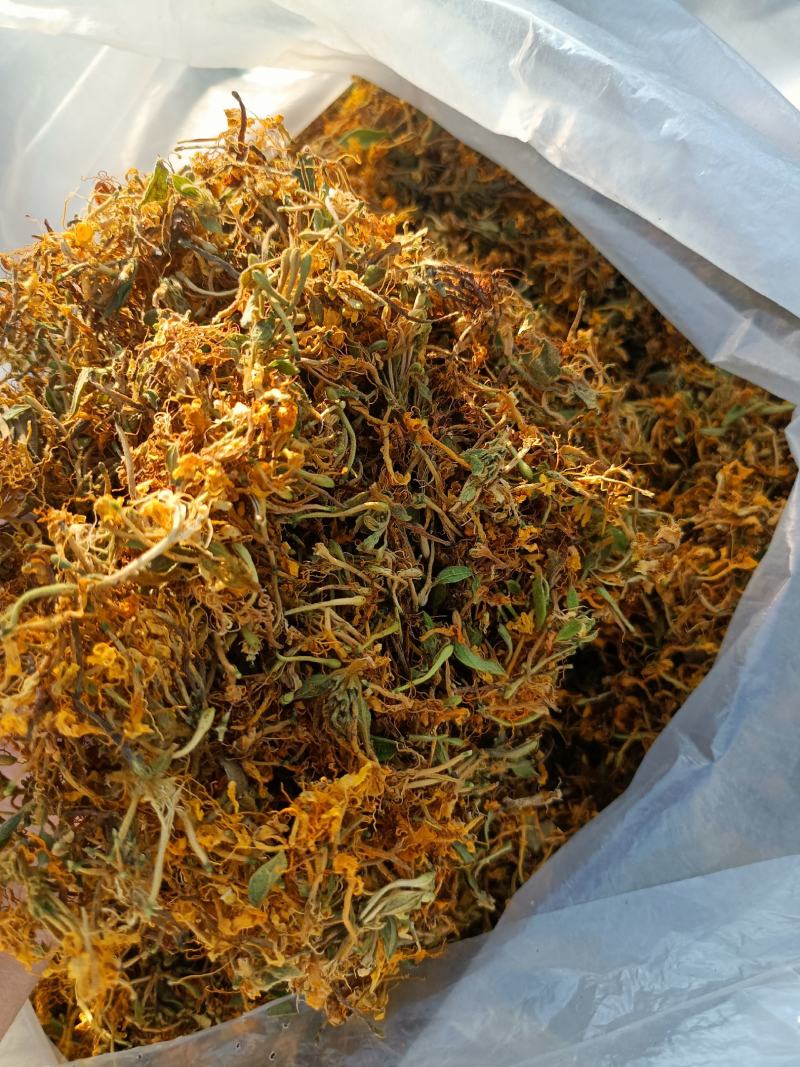 精品自然晒干金银花