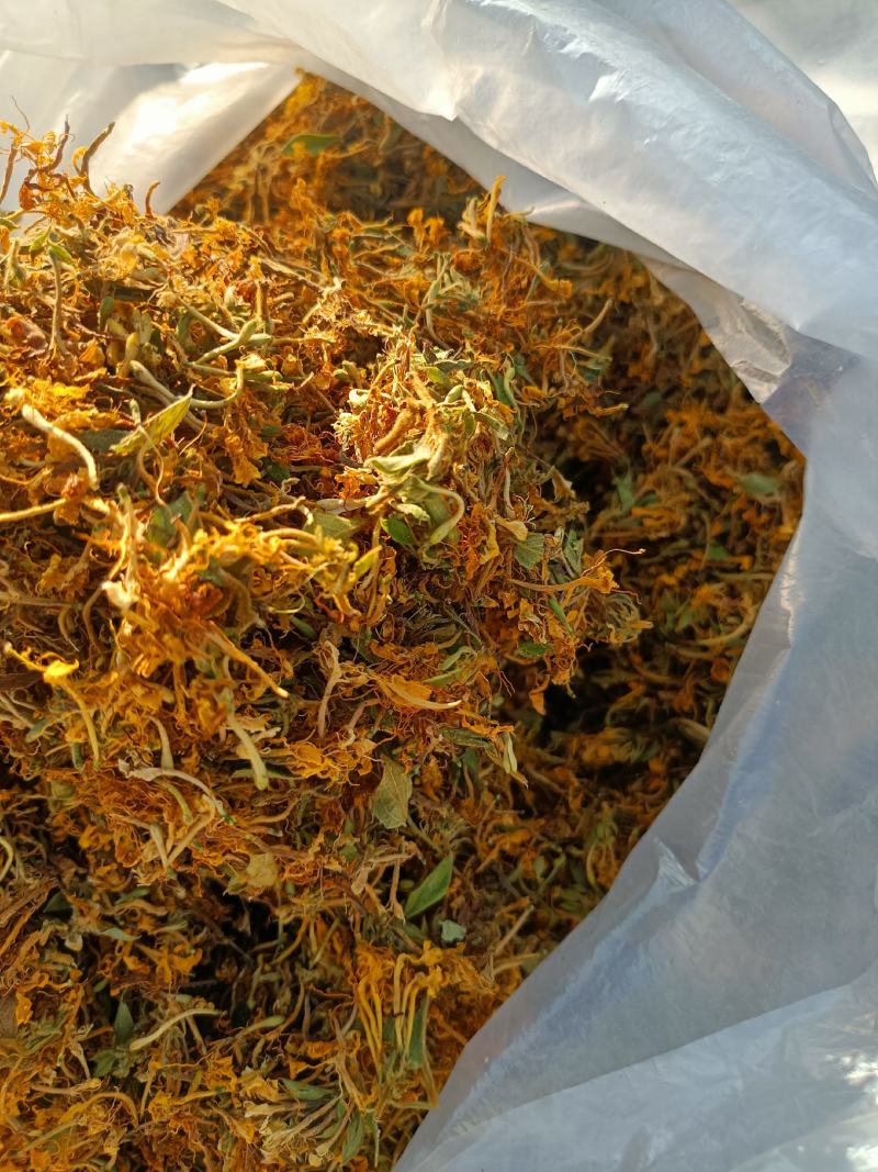 精品自然晒干金银花