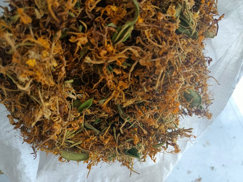 精品自然晒干金银花