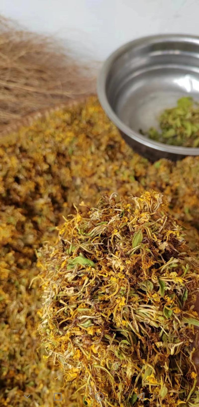 精品自然晒干金银花