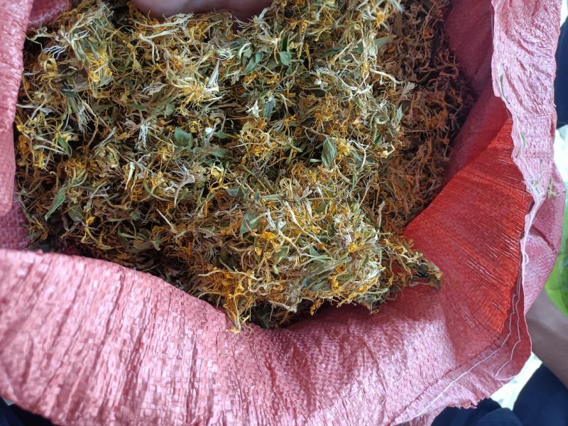 精品自然晒干金银花