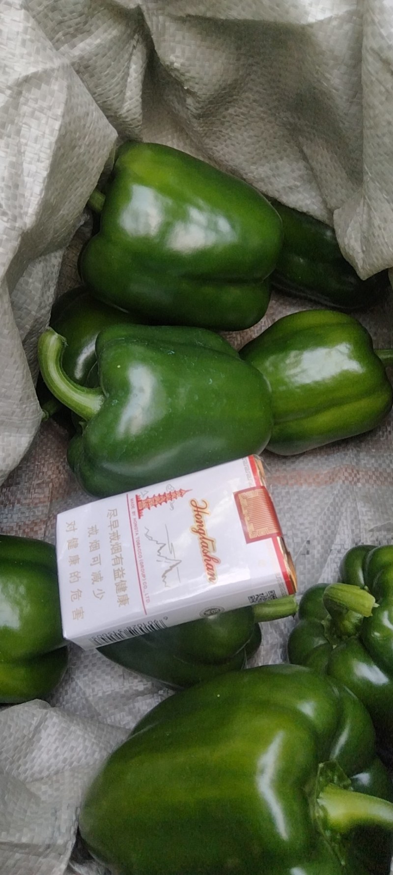 精品圆椒